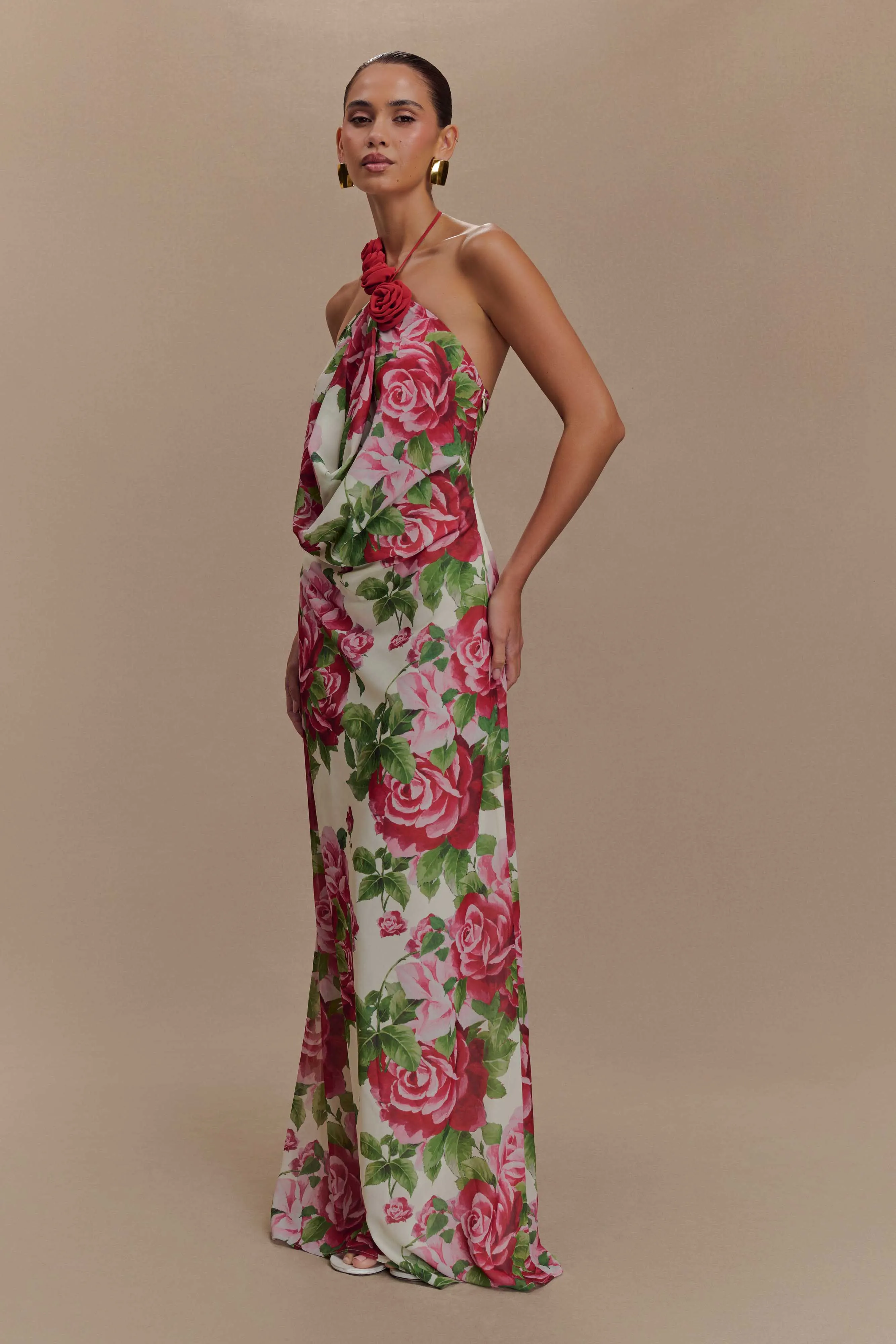 Rosalia Cowl Neck Maxi Dress - Sonia Rose Print