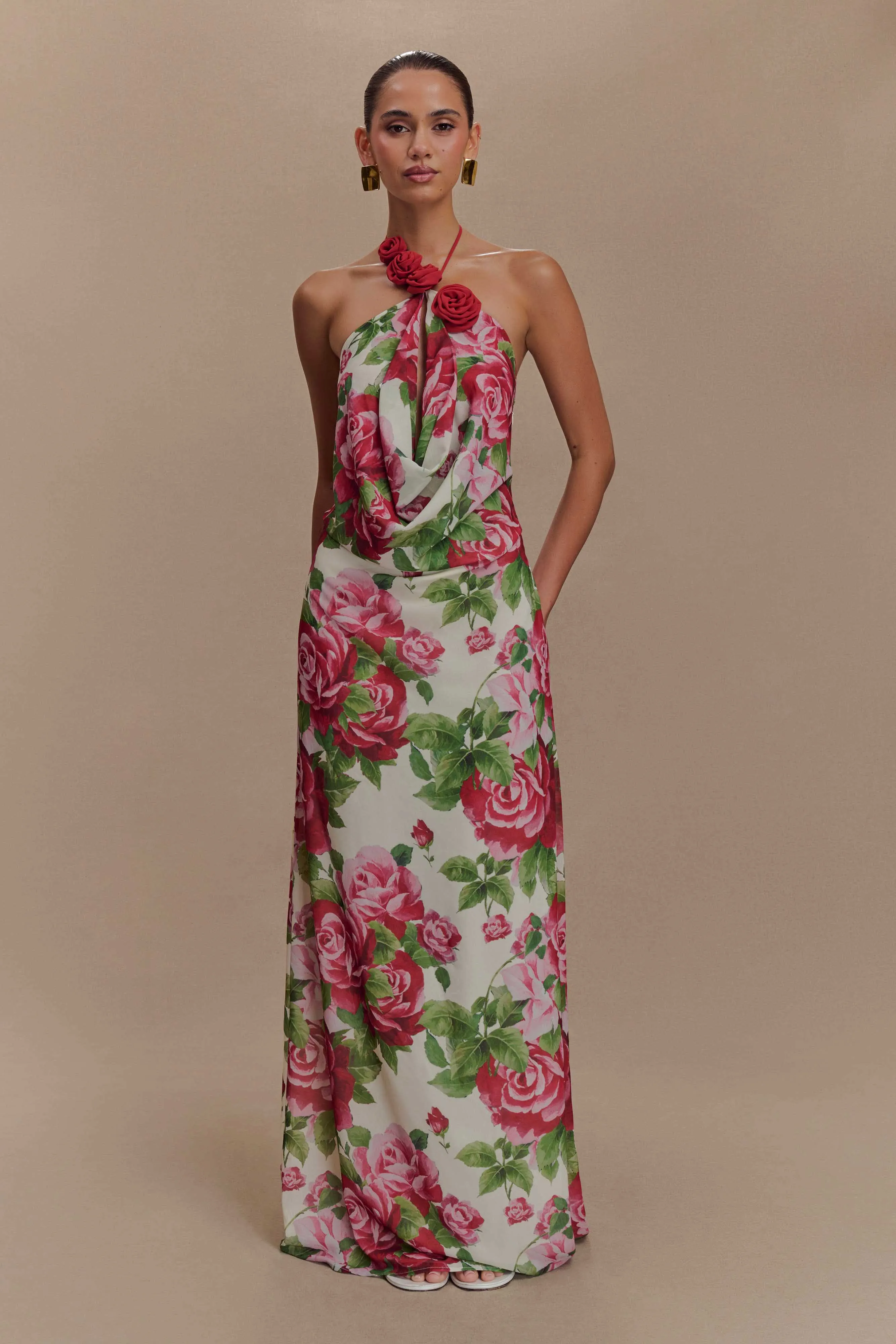 Rosalia Cowl Neck Maxi Dress - Sonia Rose Print