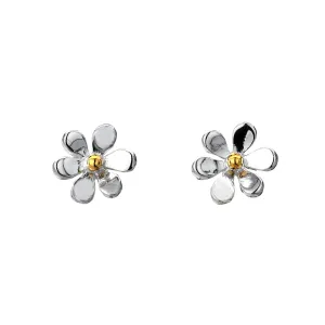 Summer Daisy Studs